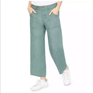 Sanctuary Traveler pants